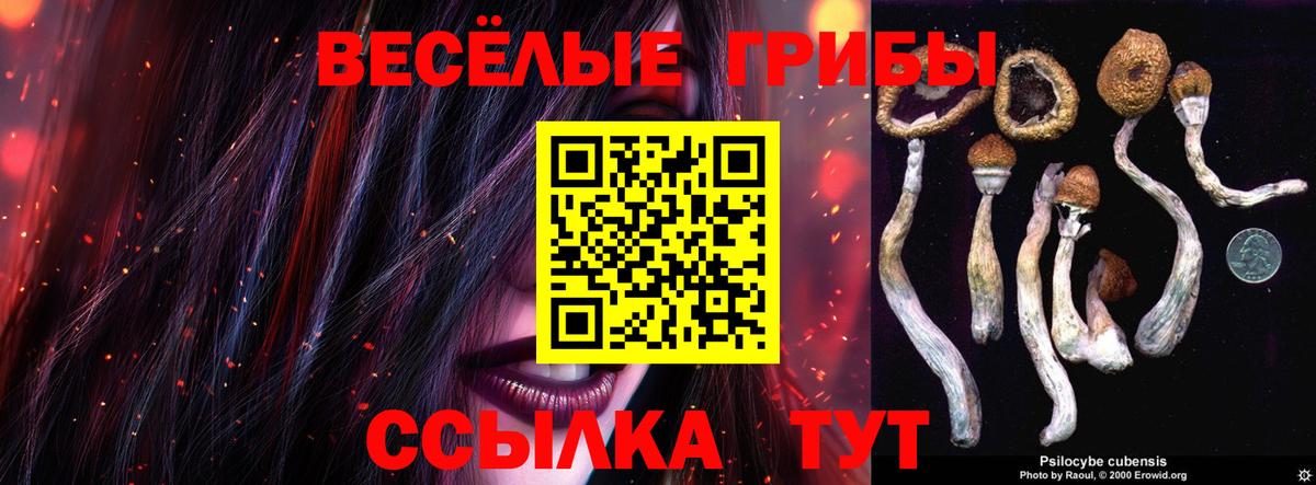 Псилоцибиновые грибы Magic Shrooms  Архангельск 