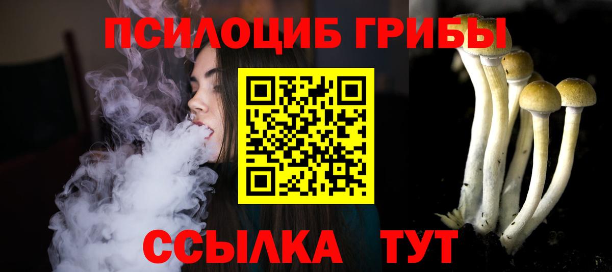 Галлюциногенные грибы Psilocybe Архангельск