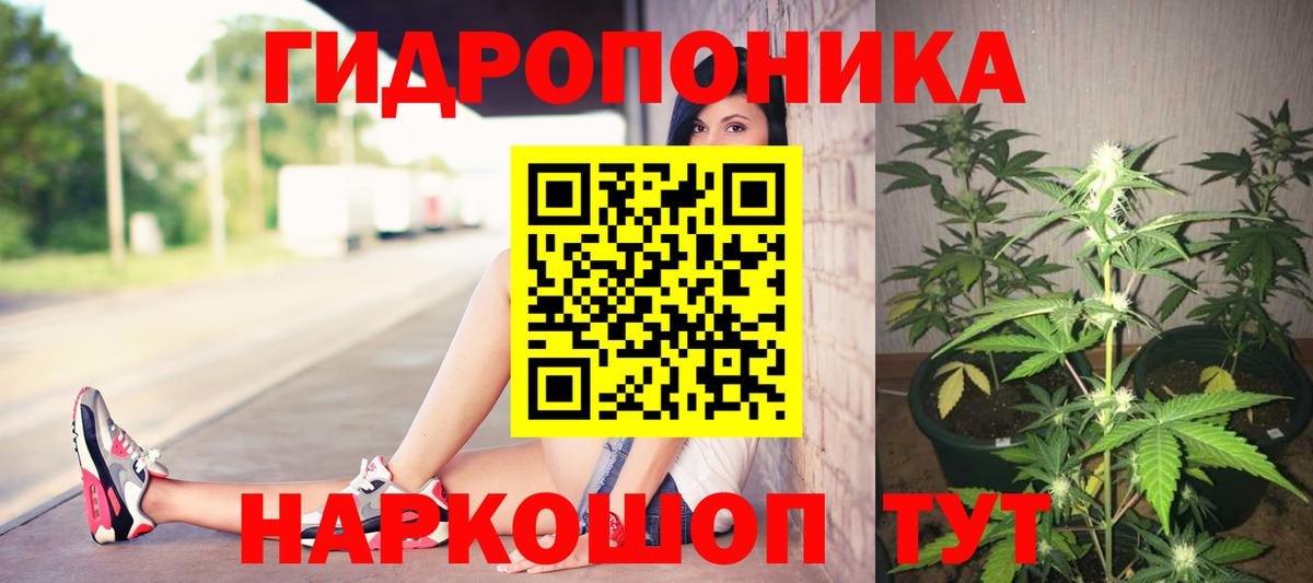 Каннабис гибрид Архангельск